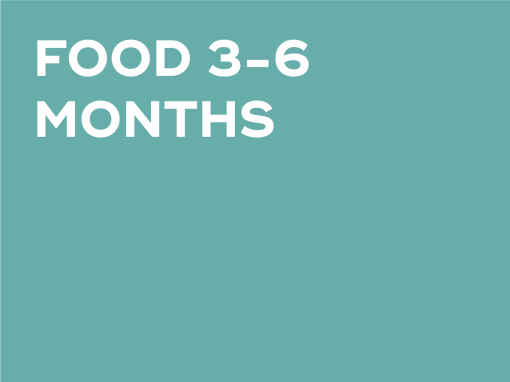 FOOD 3-6 MONTHS