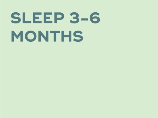 SLEEP 3-6 MONTHS
