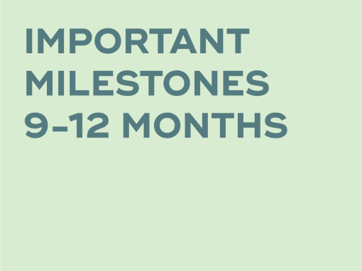 IMPORTANT MILESTONES 9-12 MONTHS